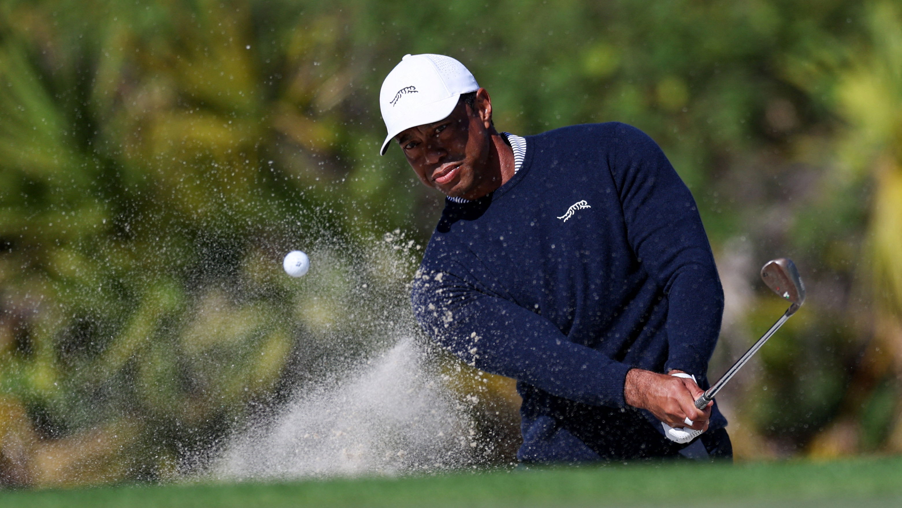 Tiger Woods
